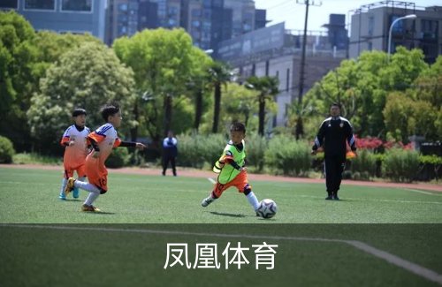 企业介绍